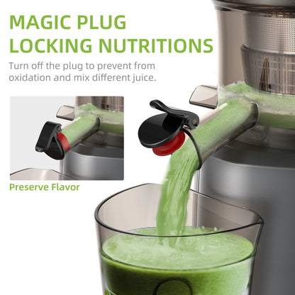 Cold Press Juicer + Ice Cream Filter, with 3 inch Feed Chute