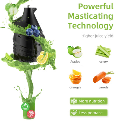 Cold Press Juicer + Ice Cream Filter, with 3 inch Feed Chute