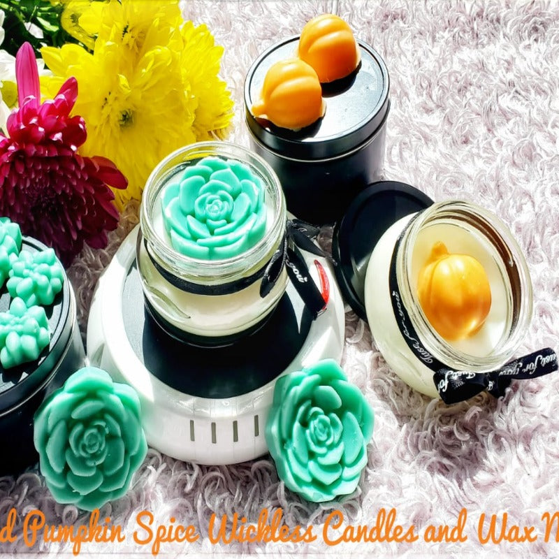 Wickless Candles (2 candles +Free Warmer)